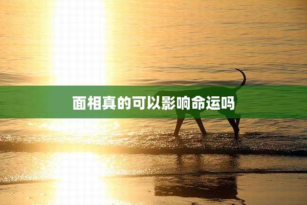 面相真的可以影响命运吗