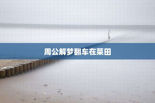周公解梦翻车在菜田
