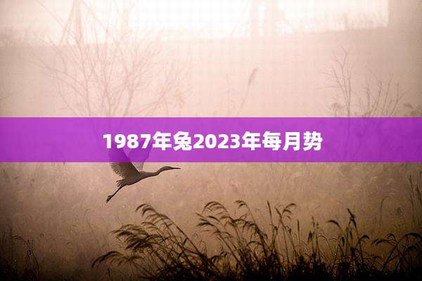 1987年兔2023年每月势