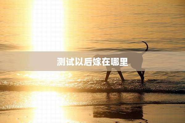测试以后嫁在哪里