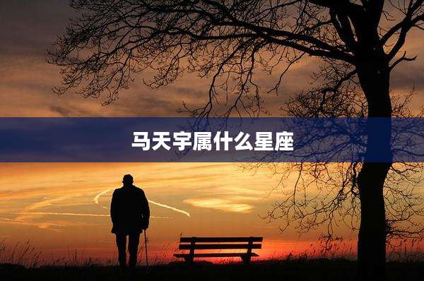 马天宇属什么星座