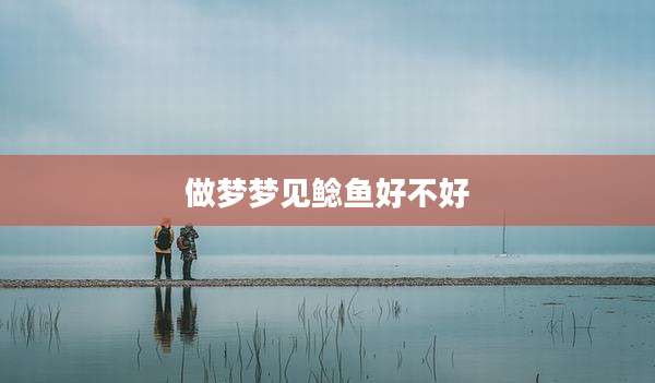 做梦梦见鲶鱼好不好