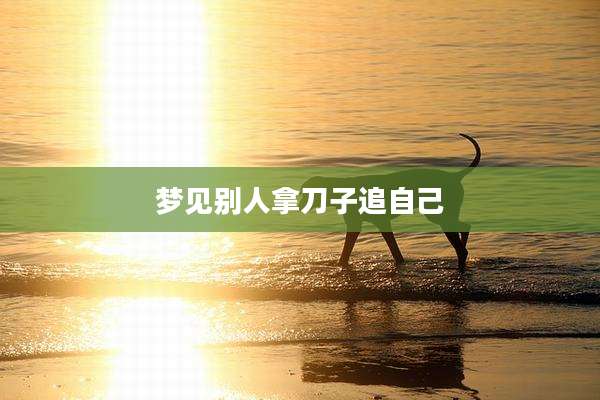 梦见别人拿刀子追自己