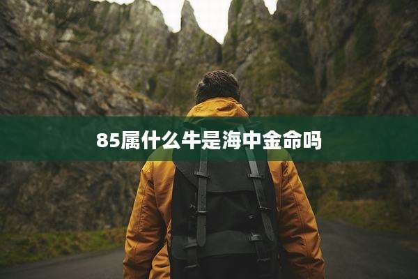 85属什么牛是海中金命吗