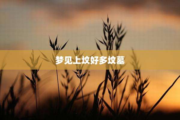 梦见上坟好多坟墓