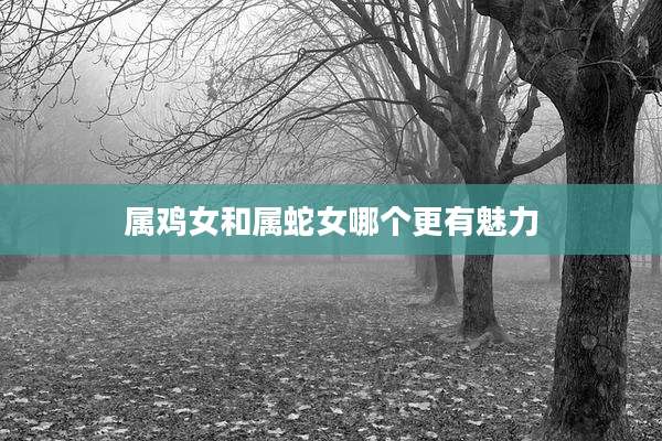 属鸡女和属蛇女哪个更有魅力
