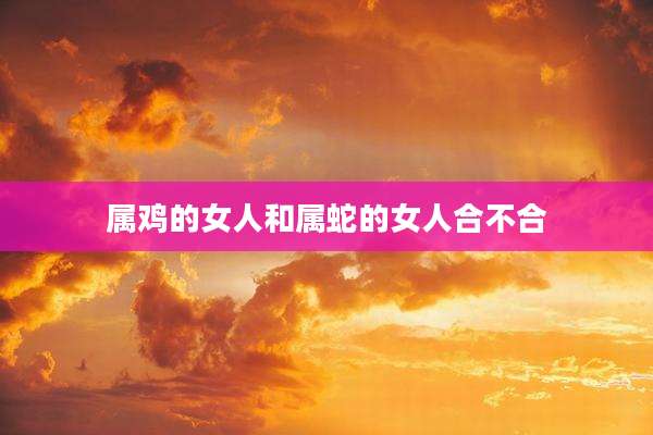 属鸡的女人和属蛇的女人合不合