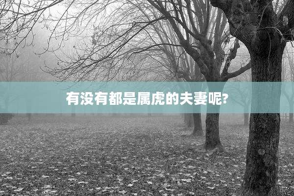 有没有都是属虎的夫妻呢?