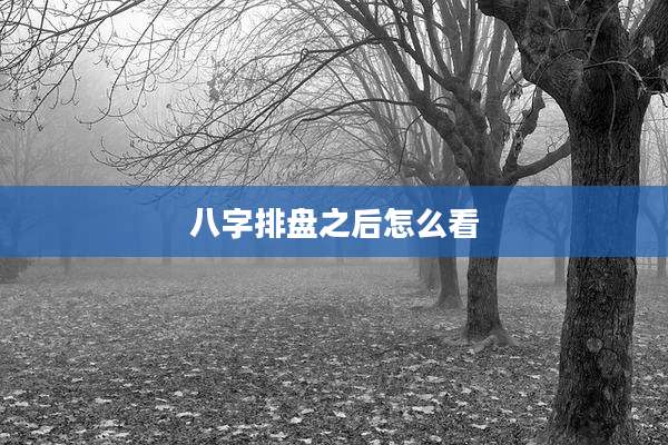 八字排盘之后怎么看