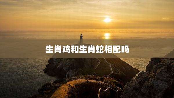 生肖鸡和生肖蛇相配吗