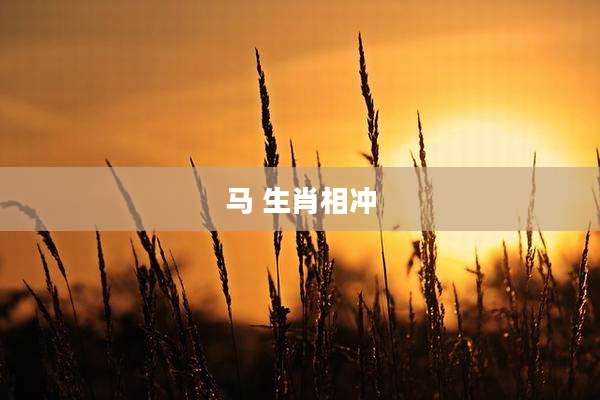 马 生肖相冲