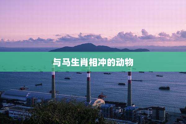 与马生肖相冲的动物