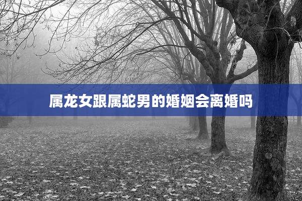 属龙女跟属蛇男的婚姻会离婚吗