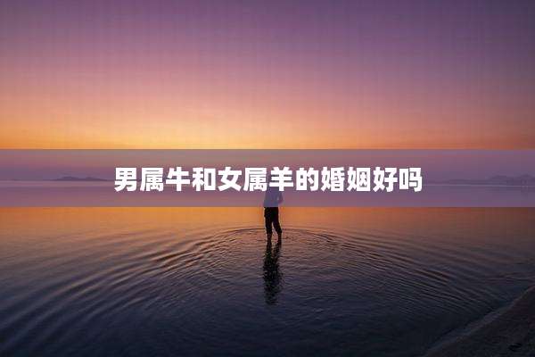 男属牛和女属羊的婚姻好吗