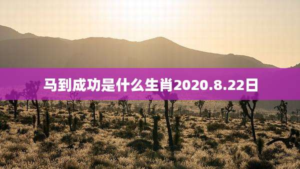 马到成功是什么生肖2020.8.22日
