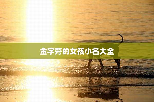 金字旁的女孩小名大全