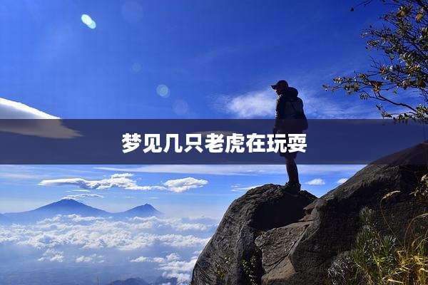 梦见几只老虎在玩耍