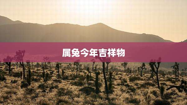 属兔今年吉祥物