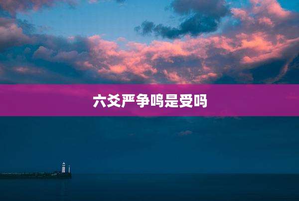 六爻严争鸣是受吗