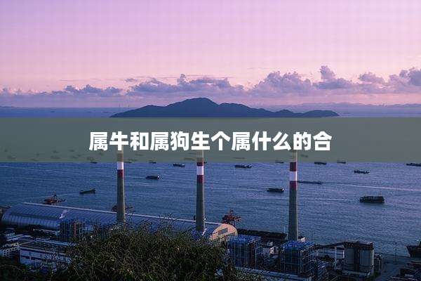 属牛和属狗生个属什么的合