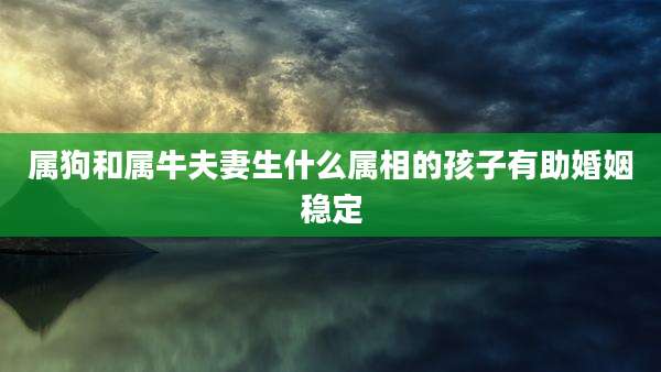 属狗和属牛夫妻生什么属相的孩子有助婚姻稳定