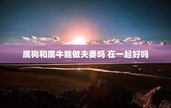 属狗和属牛能做夫妻吗 在一起好吗