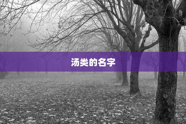 汤类的名字