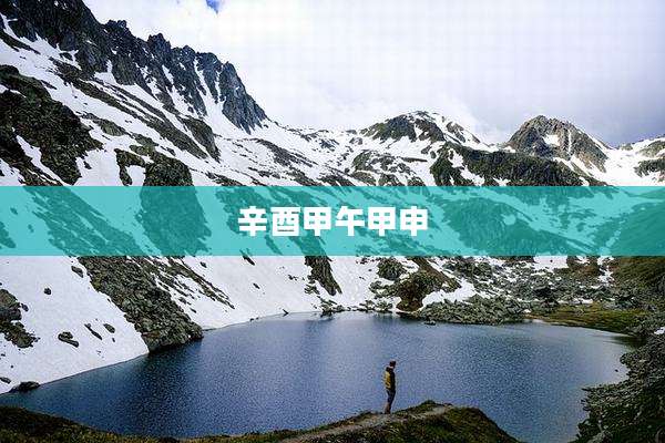 辛酉甲午甲申