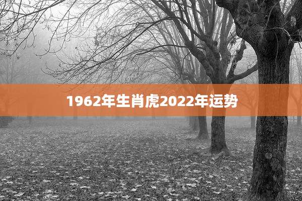 1962年生肖虎2022年运势