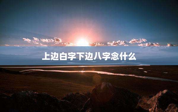 上边白字下边八字念什么