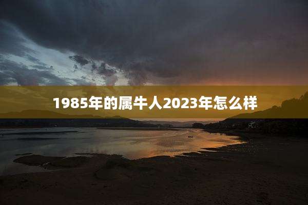 1985年的属牛人2023年怎么样