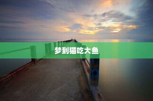 梦到猫吃大鱼