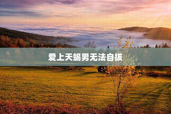 爱上天蝎男无法自拔