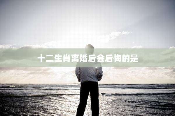 十二生肖离婚后会后悔的是