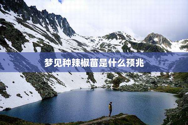 梦见种辣椒苗是什么预兆