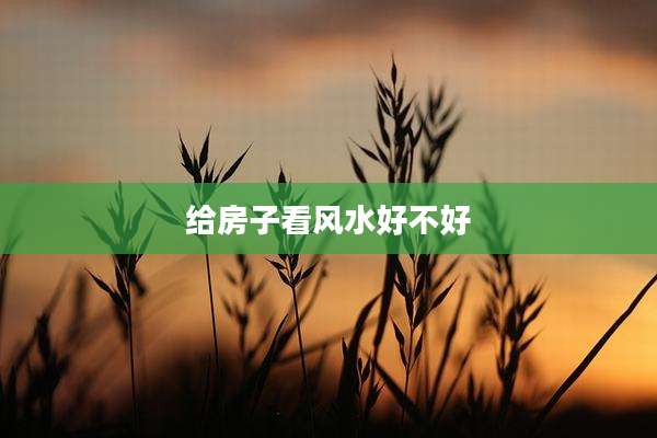 给房子看风水好不好
