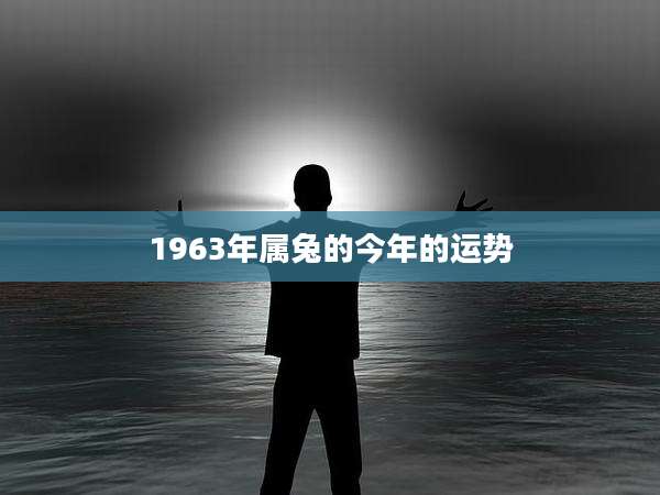 1963年属兔的今年的运势