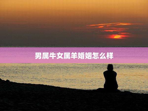 男属牛女属羊婚姻怎么样
