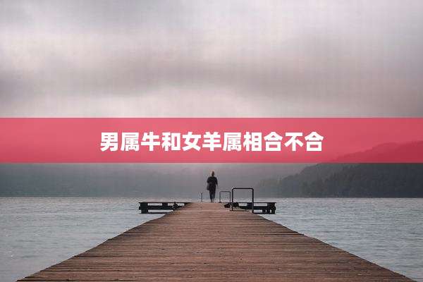 男属牛和女羊属相合不合