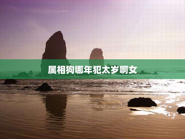 属相狗哪年犯太岁啊女