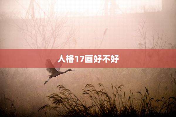 人格17画好不好