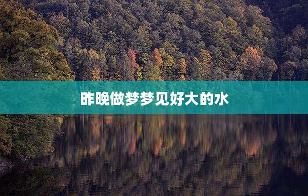 昨晚做梦梦见好大的水