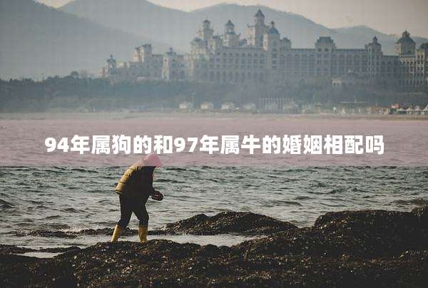 94年属狗的和97年属牛的婚姻相配吗