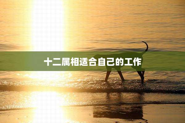 十二属相适合自己的工作