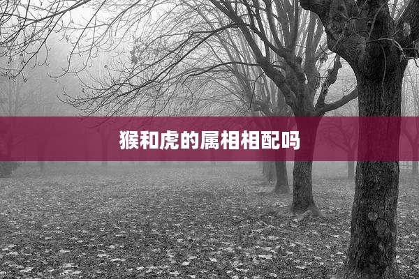 猴和虎的属相相配吗