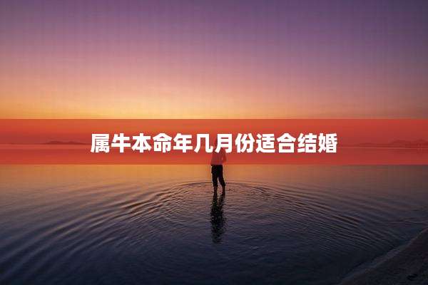 属牛本命年几月份适合结婚