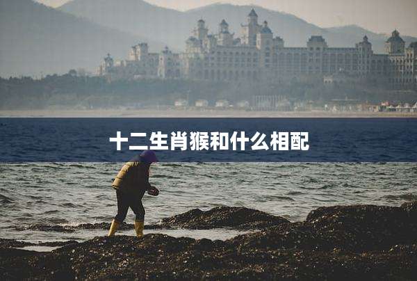 十二生肖猴和什么相配
