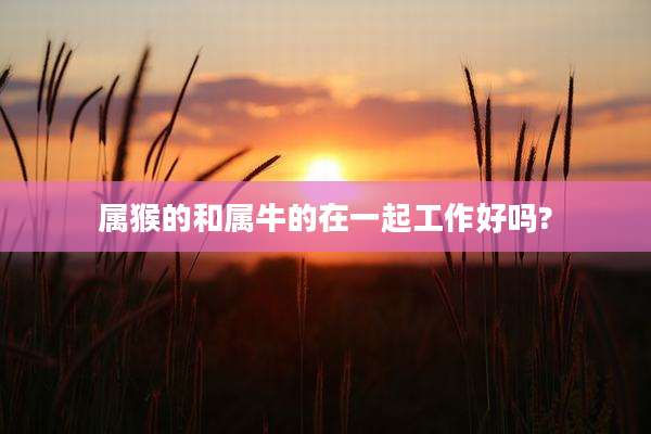 属猴的和属牛的在一起工作好吗?