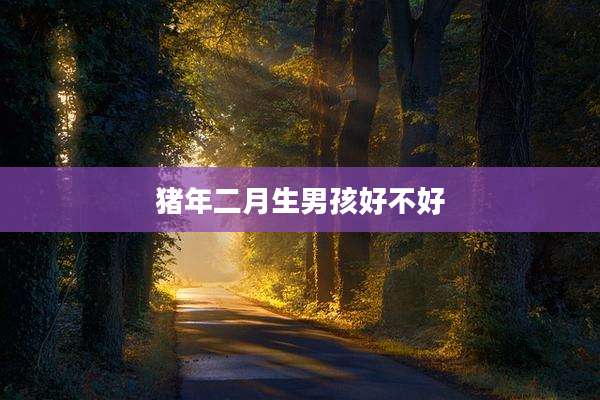 猪年二月生男孩好不好