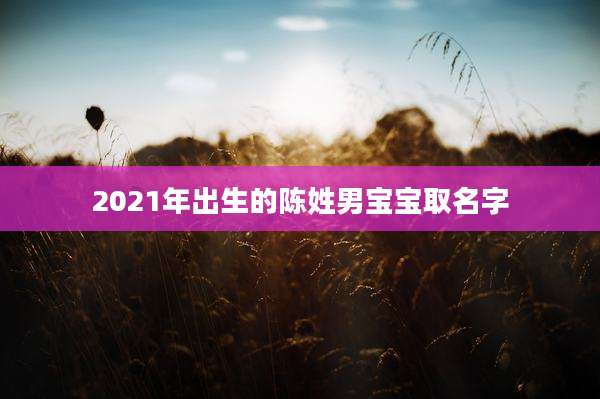 2021年出生的陈姓男宝宝取名字